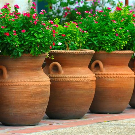 20 Large Plant Pots Outdoor