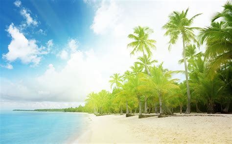 Sunny Beach Wallpaper 60 Images