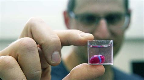 Scientists Have Successfully 3d Printed A Heart From Human