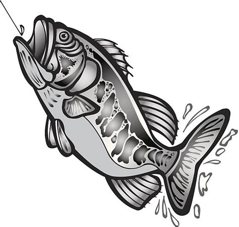 Largemouth Bass Clip Art, Vector Images & Illustrations ...