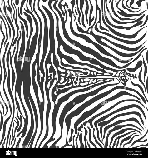 Zebra Print Pattern Seamless Background Black And White Wild Animal