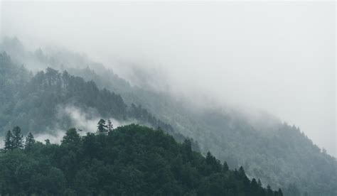 504904 5760x3840 Fog Landscape Nature Evergreen Png Images Mist
