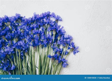 Blue Cornflowers Bouquet Summer Flowers On White Background Floral