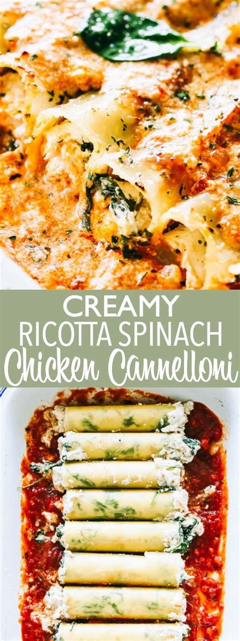 Creamy Ricotta Spinach And Chicken Cannelloni Cannelloni Pasta Packed