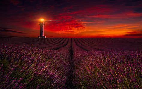 Sunset Lavender Field Lighthouse 5k Wallpapers Hd Wallpapers Id 18658