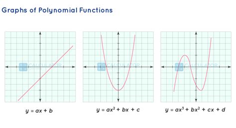 Polynomial Function Definition Degrees Types And Graphs