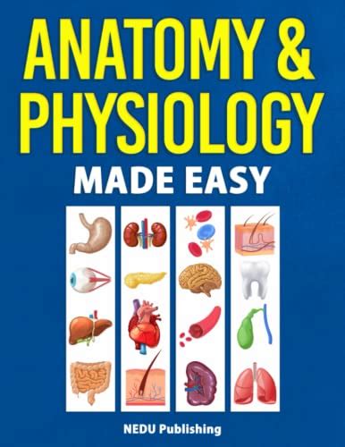 Anatomy And Physiology Made Easy An Illustrated Study Guide For Students