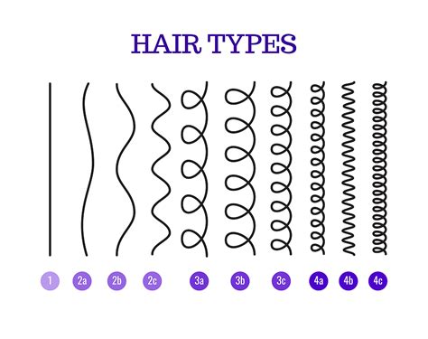 Natural Hair Type Chart Home Design Ideas