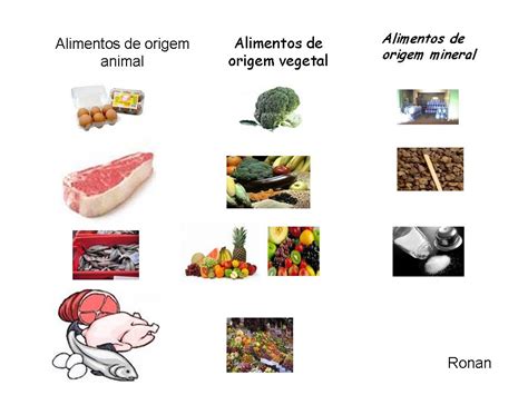 Alimentos De Origem Animal Vegetal E Mineral Exemplos Novo Exemplo