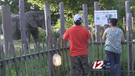 Roger Williams Park Zoo Offering 7 Admission Youtube