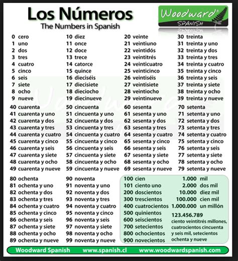 Numeros En Espanol 1 1000