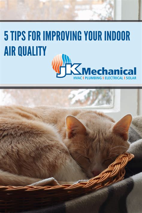 5 Tips For Improving Indoor Air Quality Improve Indoor Air Quality