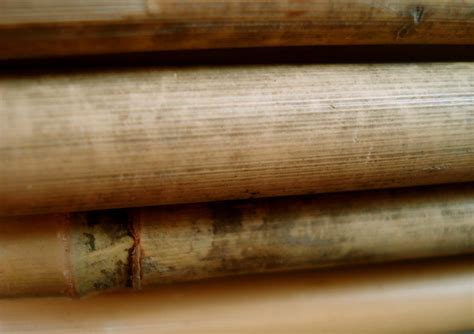 Bamboo Close Up Closeup Wood Texture Bamboo Close Up Close Flickr