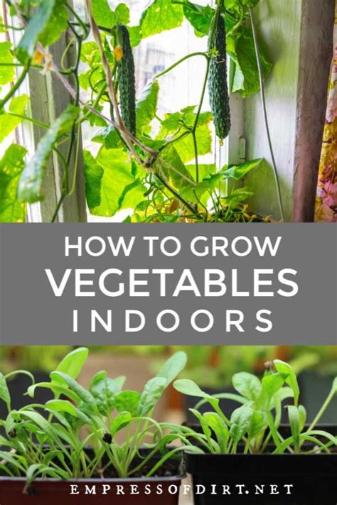 Indoor Vegetable Gardening Container Gardening Vegetables Home