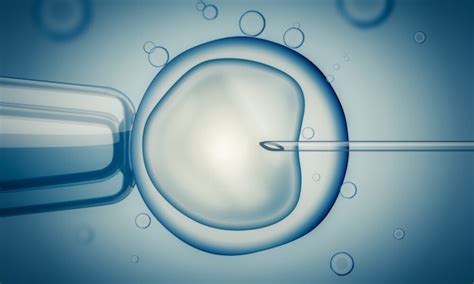 What Is In Vitro Fertilization Ivf Conceiveabilities