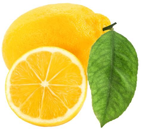 Collection Of Lemon Hd Png Pluspng