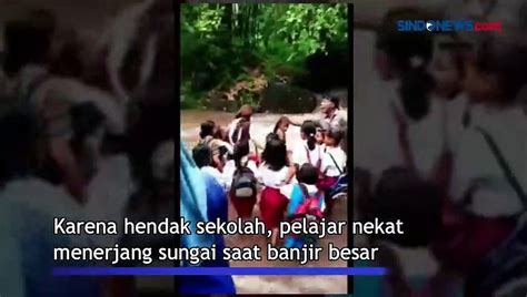 Viral Puluhan Pelajar Sd Di Sikka Nekat Lintasi Sungai Video Dailymotion