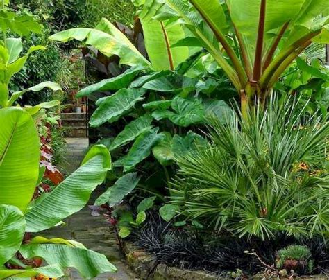 30 Amazing And Beautiful Tropical Garden Ideas 2 Gardenideazcom