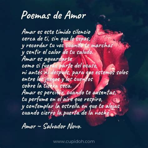 Poemas De Amor En Imágenes Que Le Dejarán Sin Aliento Poemas De Amor Poemas