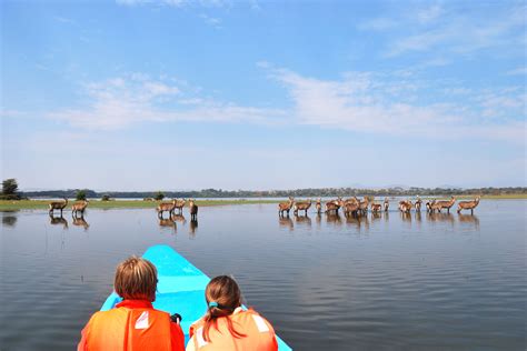 Town in nakuru county, kenya. 1 Night, 2 Days Kenya Excursion (Lake Naivasha) - Go ...