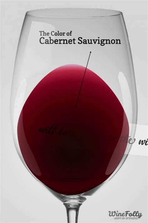 The Guide To Cabernet Sauvignon Red Wine Wine Folly