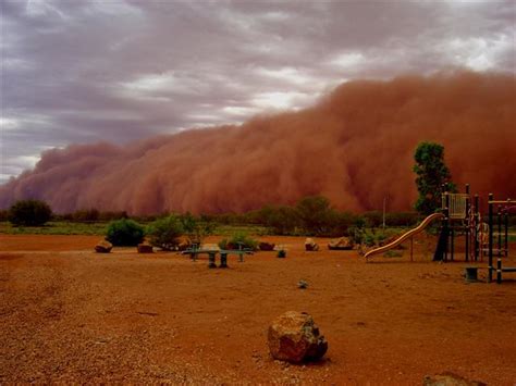 Find images of desert storm. Desert Garden Protection - Saving Plants From Sand Storms ...