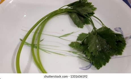 You can also mix these. Daun Parsley In Malay