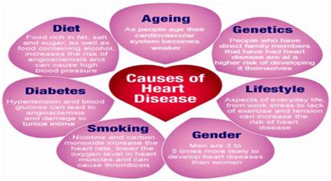 Causes Of Heart Diseaseppm Mcisaac Health Systems Inc
