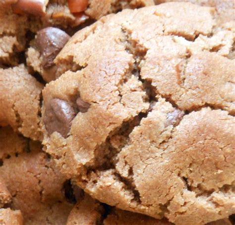 Hazelnut Cookies Recipe Dipped In Dark Chocolate