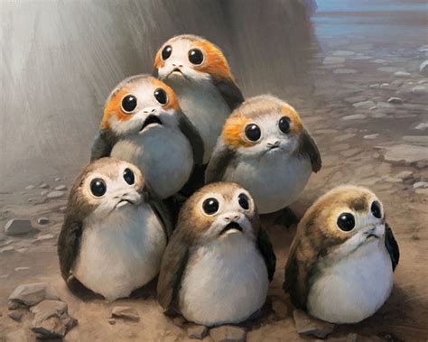 Star Wars Porgs Disney In Your Day
