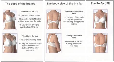 RiRimaniaa Why Choosing The Perfect Bra Is Important To Your Final