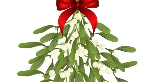 Something To Kiss About Mistletoe May Actually Treat Cancer Gaia