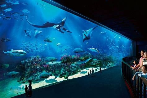 Tripadvisor Singapore Sea Aquarium Eintrittskarte Sentosa