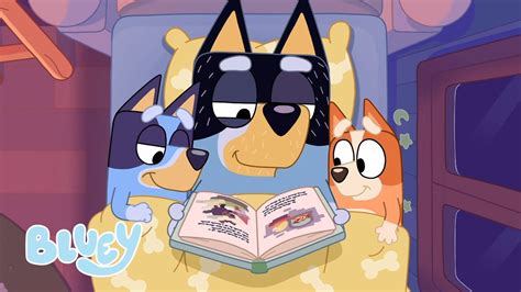 reading with the heelers storytime compilation bluey youtube