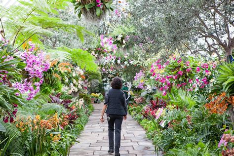 15 Breathtaking Botanical Gardens To Visit This Season Botanical