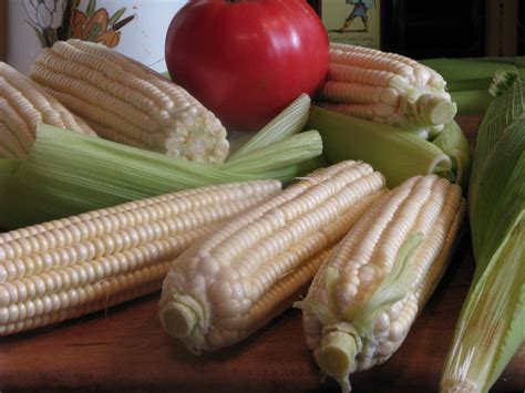 Maybe you would like to learn more about one of these? MAD MEAT GENIUS: MEXICAN CORN TAMALE