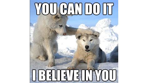 70 Best Inspirational Memes To Keep You Motivated Remote Tools