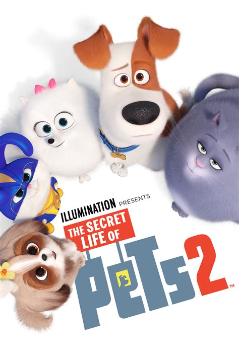 Family Movie Matinee: Secret Life of Pets 2 (PG) at Hurley Library