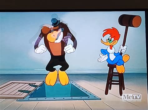Woody Woodpecker is now on MeTV! by McRobloxStudios on DeviantArt
