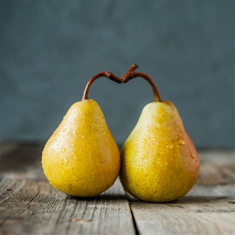 Summer Pears And Winter Pears What’s The Difference Between Winter And Summer Pears