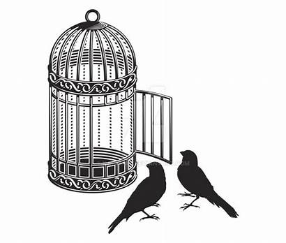 Cage Bird Deviantart Transparent Birds Clipart Cartoon