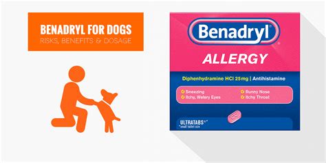 Benadryl For Dogs Diphenhydramine Dosage Safety And What To Give