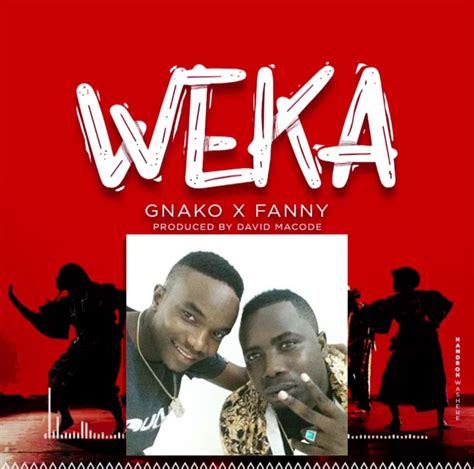 Instrumental G Nako And Fany Weka Beat Download Dj Mwanga