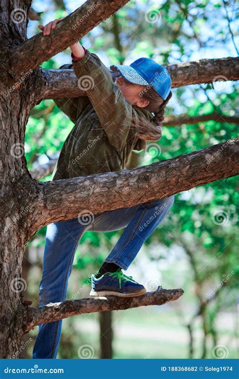 Girl Playing Outdoor Climbing A Tree Bright Sunlight Beautiful Day
