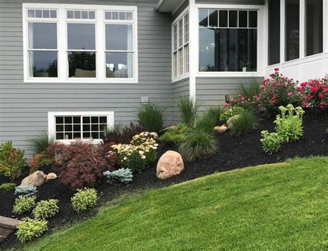 Low Maintenance Plants For Front Yard Shrubs Maintenance Low Growing