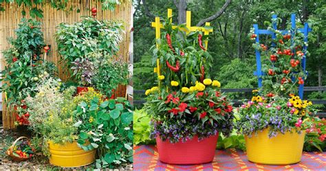 15 Stunning Container Vegetable Garden Design Ideas And Tips