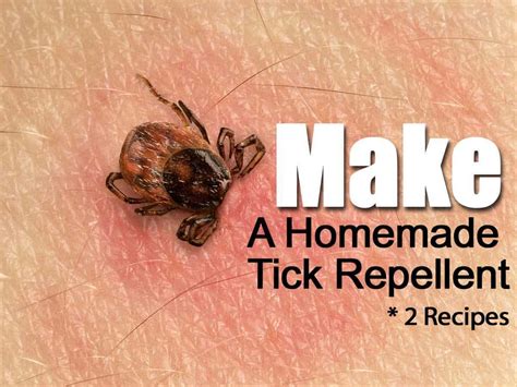 How To Make A Homemade Tick Repellent Recipe