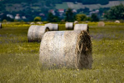 Hay Bale On The Meadow Farming Landscape With Relaxing Colours Stock