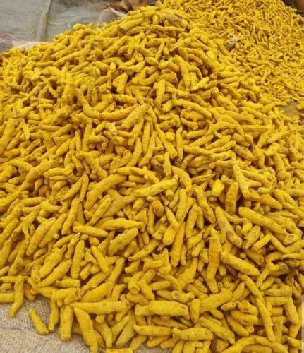 Turmeric Erode Finger For Spices 50 Kg At Rs 115 Kg In Basmat ID