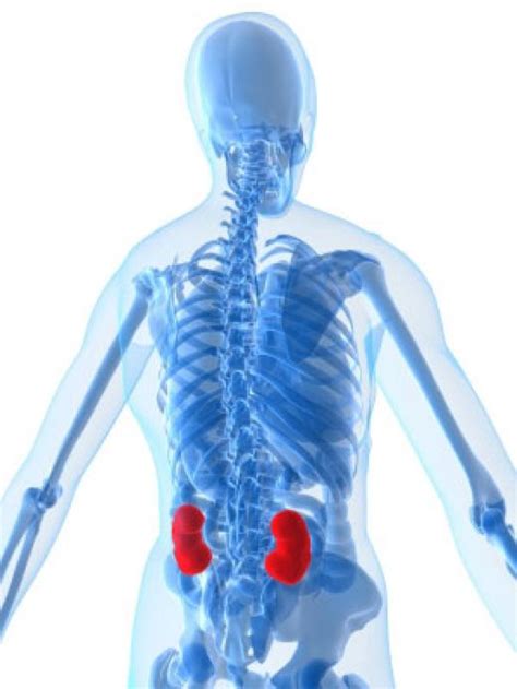 Pain Management Aid Back Pain That Refers To Kidney Stone
